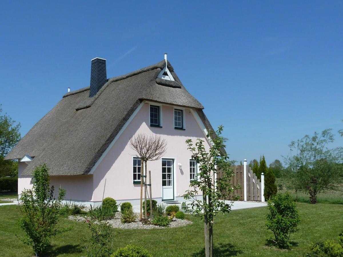Ferienhaeuser Salzhaff-romantik