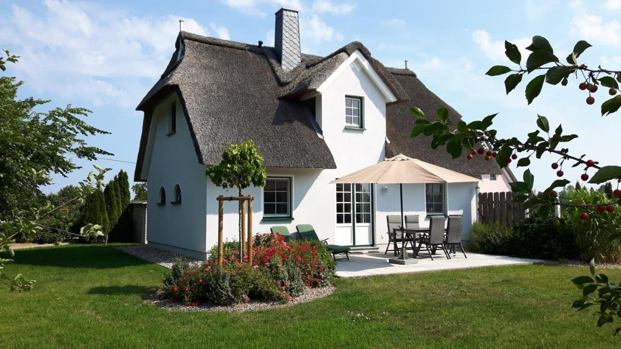 Ferienhaeuser Salzhaff-romantik Tessmannsdorf