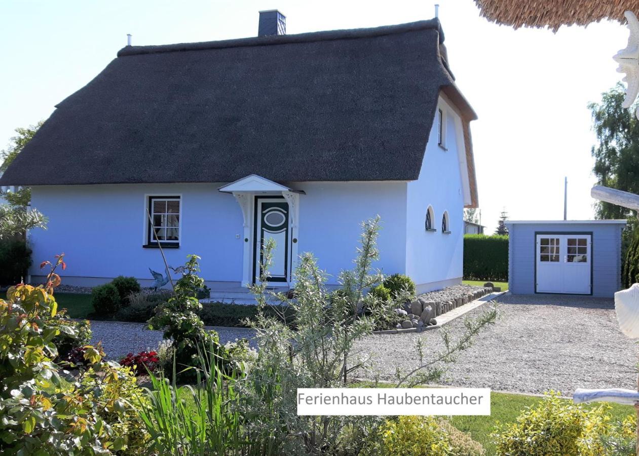 Ferienhaeuser Salzhaff-romantik